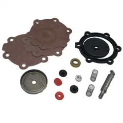 Set de benzină cu membrană 2101-1106010-88
